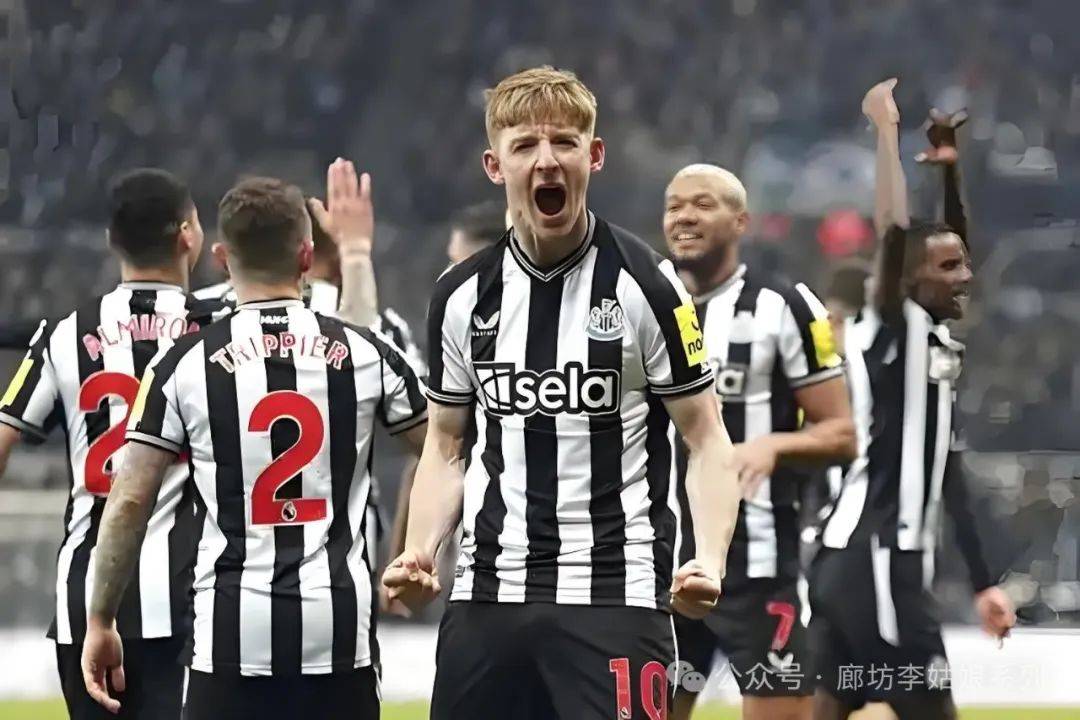 关于纽卡斯尔主场对阵水晶宫,悬念重重胜者难分的信息 关于纽卡斯尔主场对阵水晶宫,悬念重重胜者难分的信息