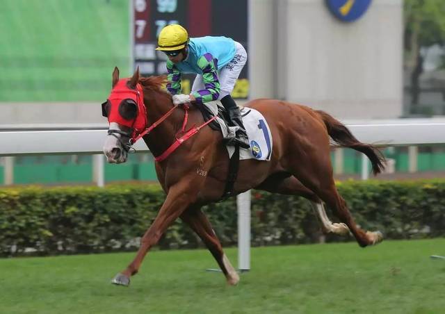 俄罗斯队凭借固守晋级欧锦赛资格赛