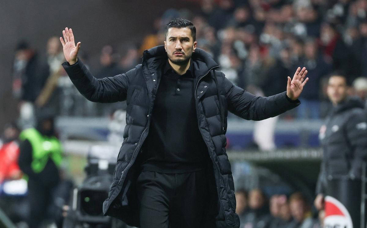 包含法兰克福重回胜利轨道,主场连胜表现出色的词条 包含法兰克福重回胜利轨道,主场连胜表现出色的词条