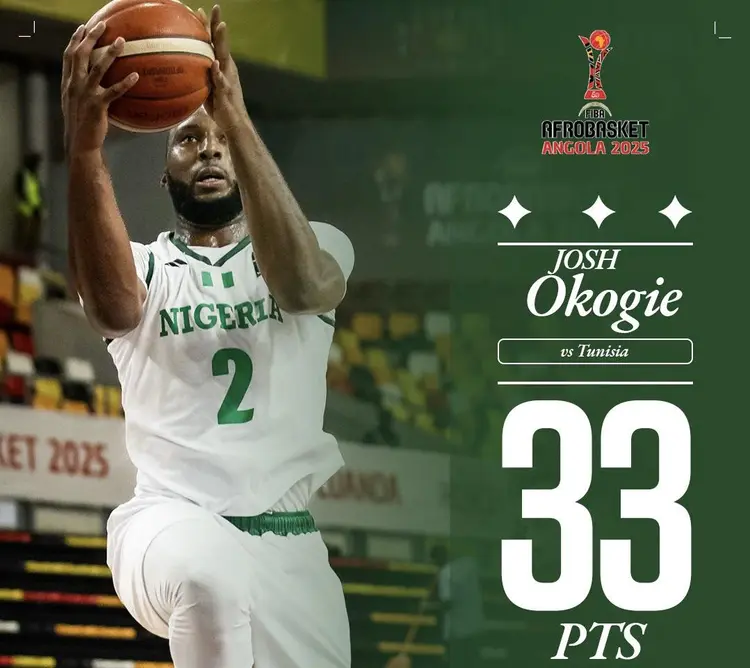 在非洲篮球锦标赛上尼日利亚获胜的简单介绍 在非洲篮球锦标赛上尼日利亚获胜的简单介绍