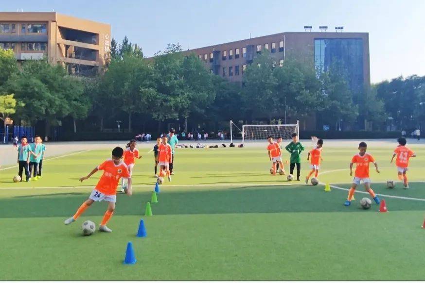 精彩纷呈,球场上的举足轻重 精彩纷呈,球场上的举足轻重